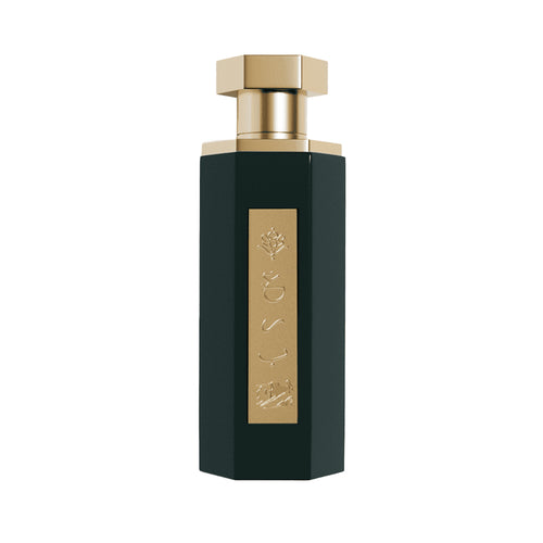 Parfum Reef AlUla – Élégance boisée et cuirée 100 ml