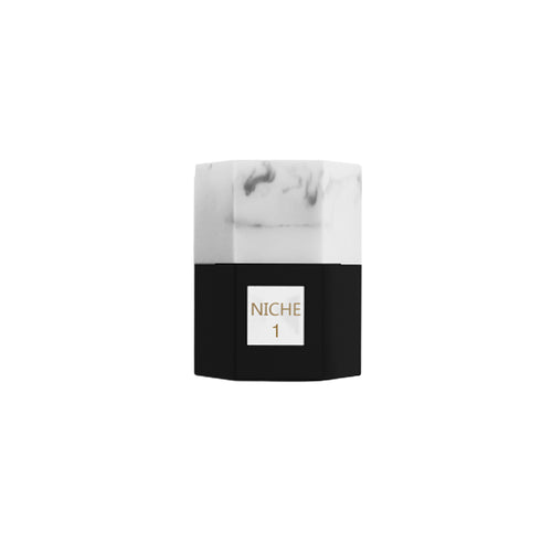 Parfum Reef Niche 1 – Élégance audacieuse et chaleureuse 50 ml